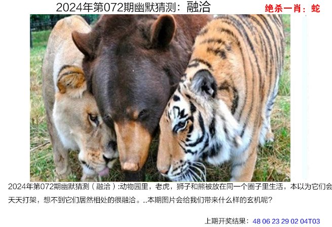 2024年澳门最新资料157期澳门2024年最新资料概述