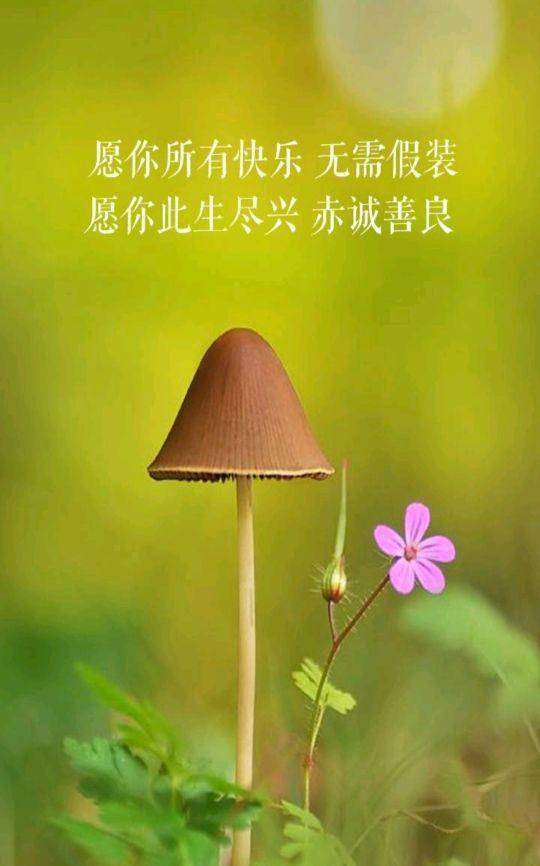 银女娱乐论坛不惑至天命银女娱乐论坛，探索娱乐新天地-第1张图片