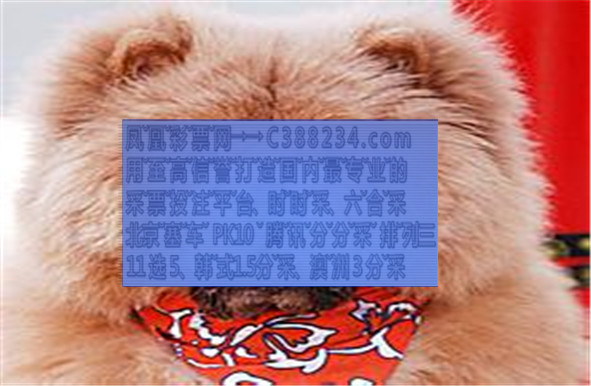 2022香港今晚开什么奖2022香港今晚开奖揭晓，揭秘今晚的精彩大奖-第2张图片