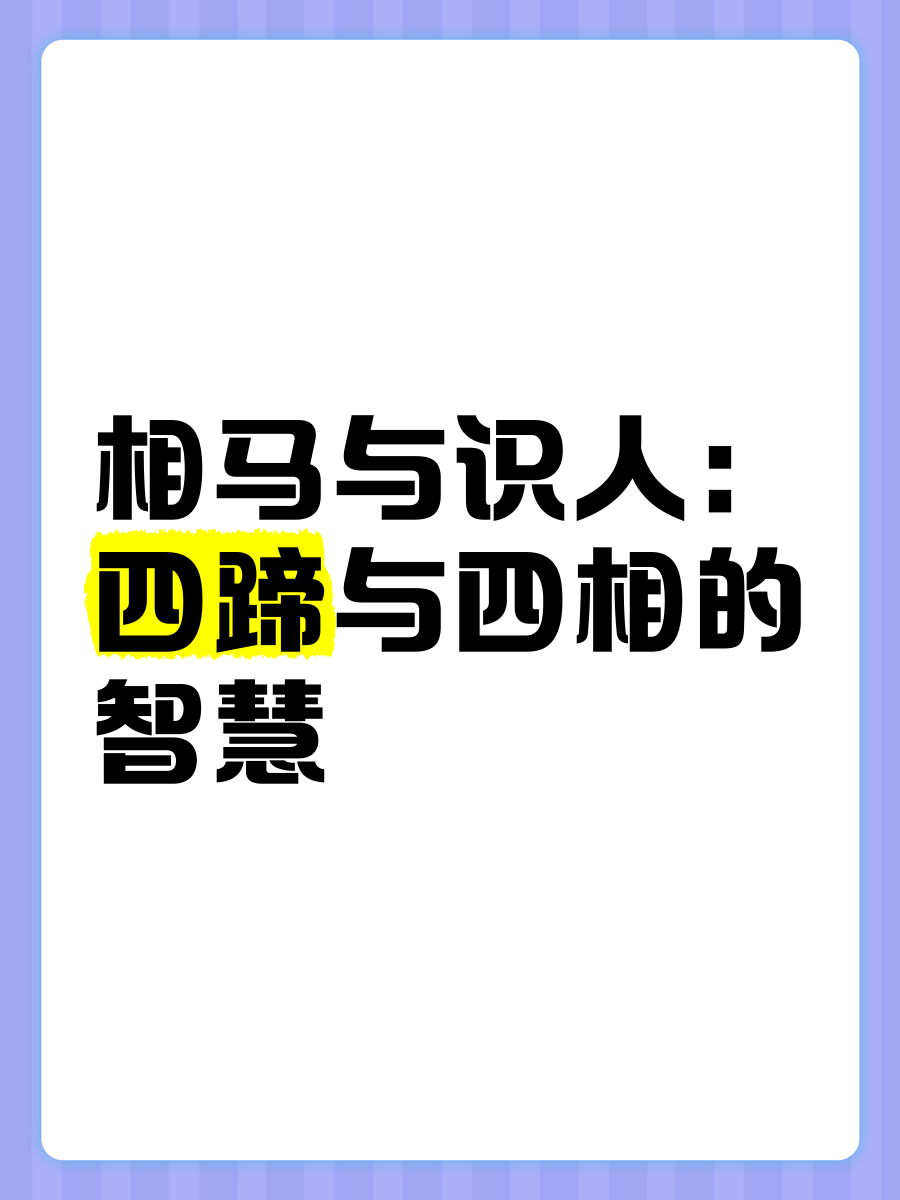 人与马相配人与马相配之美