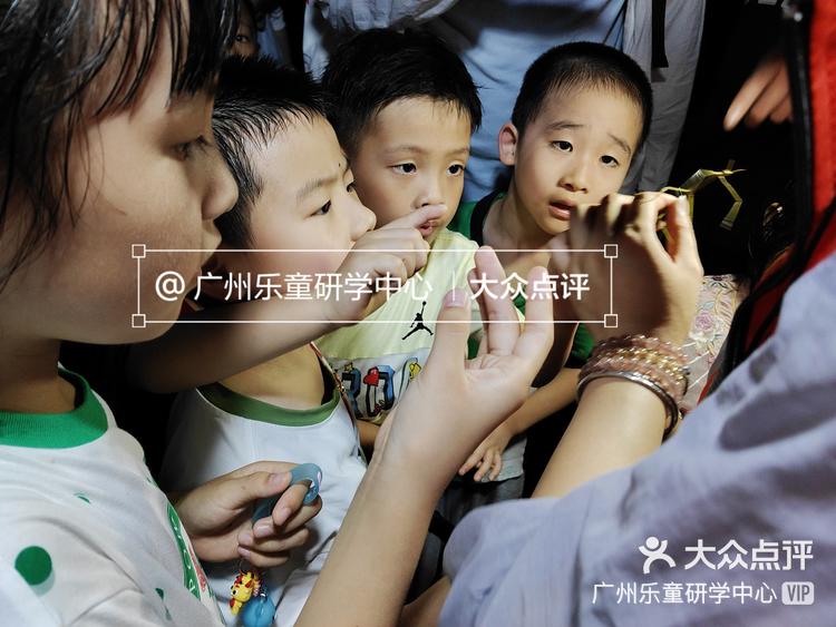 广州萤火虫，城市的夜之精灵-第2张图片