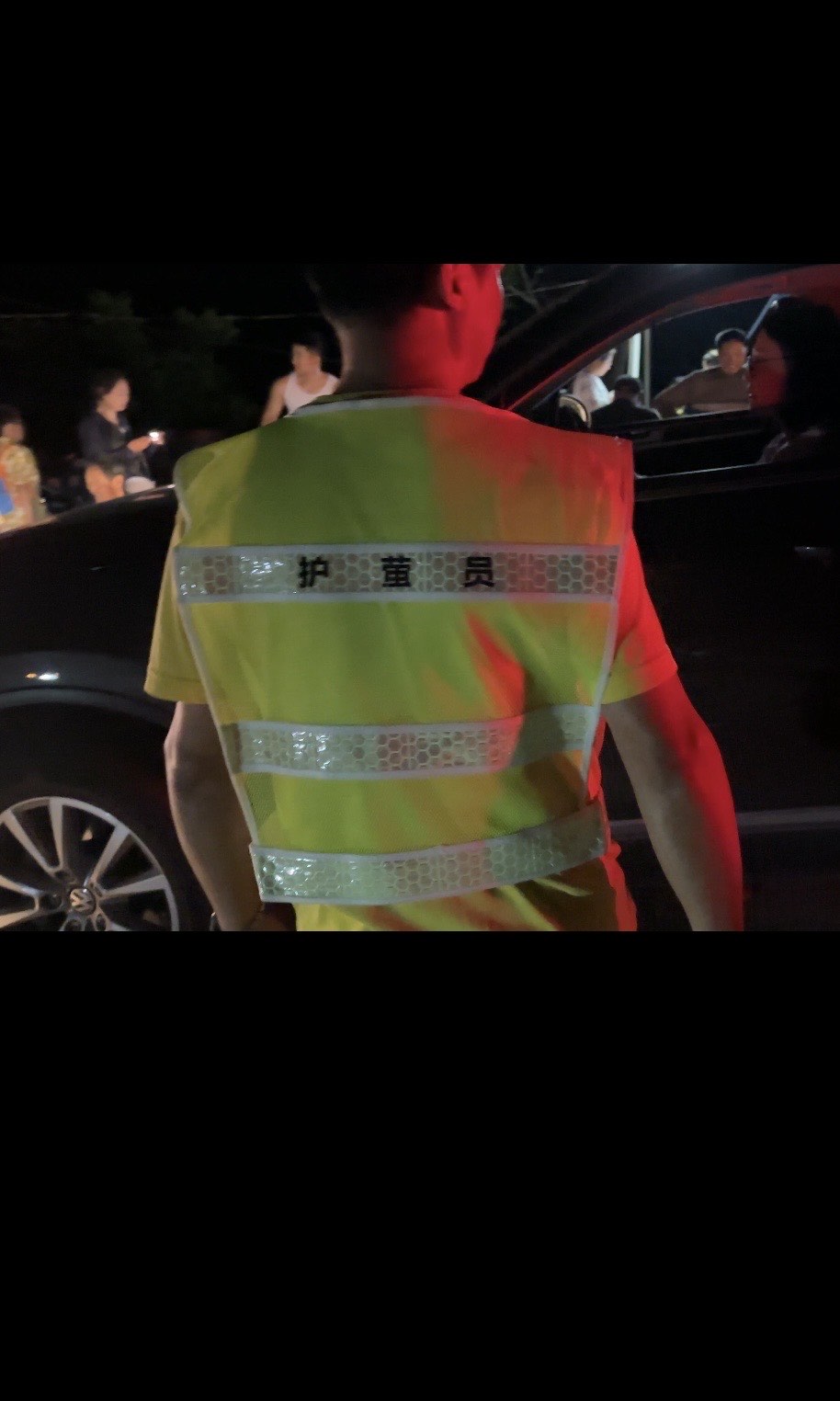 广州萤火虫，城市的夜之精灵-第3张图片