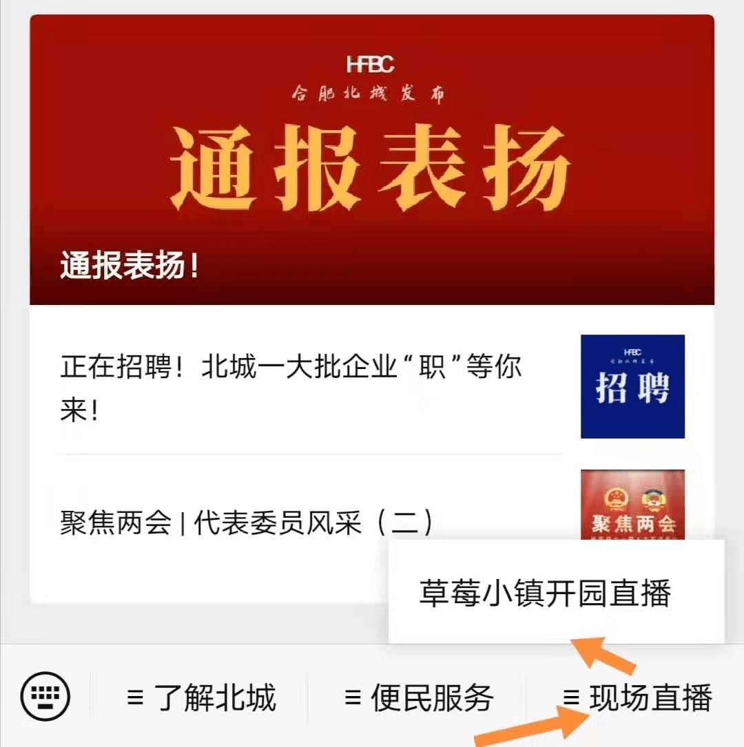 草莓app直播免费 视频在线观看草莓APP直播免费视频，探索直播新体验-第2张图片