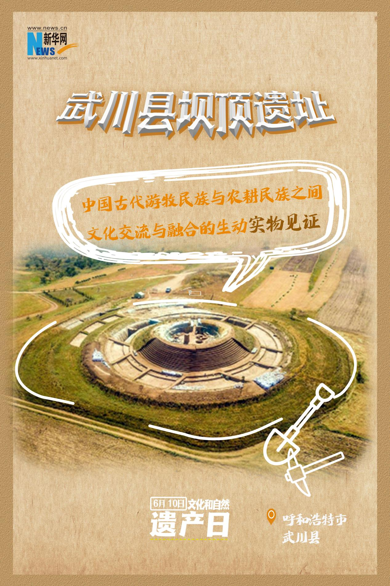 采药采药之旅，探寻自然宝藏-第2张图片