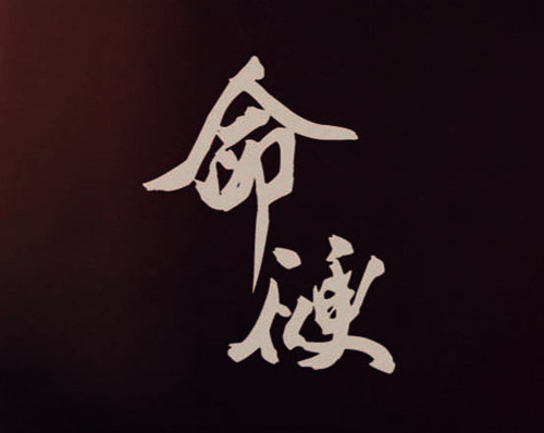 包双龙八字入门视频全集80集包双龙，创新与实力的双重体现-第1张图片