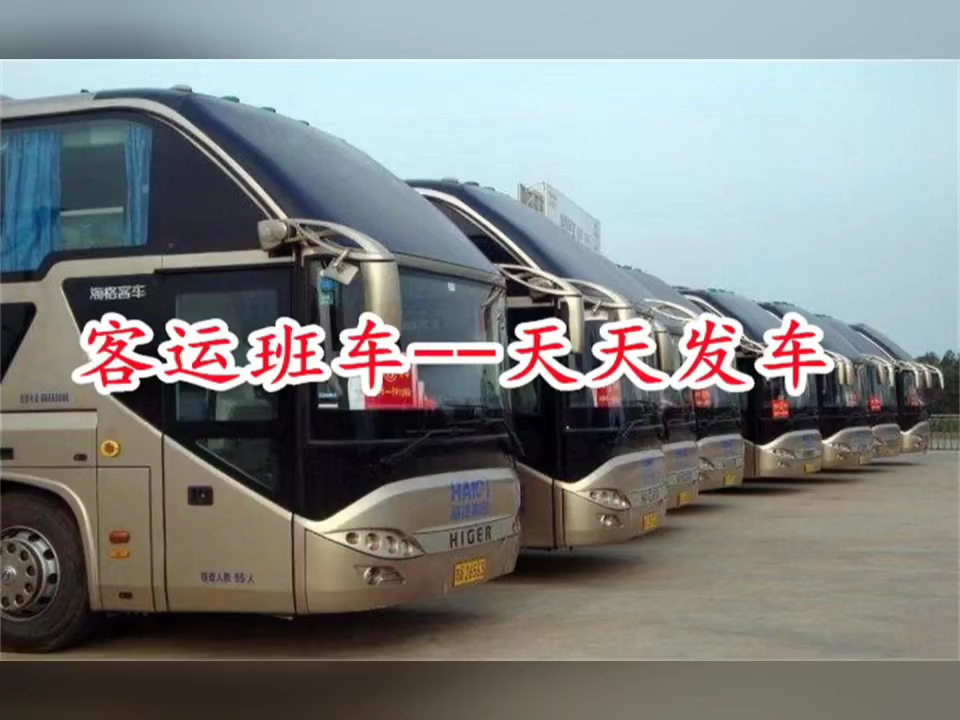 菜园坝汽车站时刻表菜园坝汽车站时刻表-第1张图片