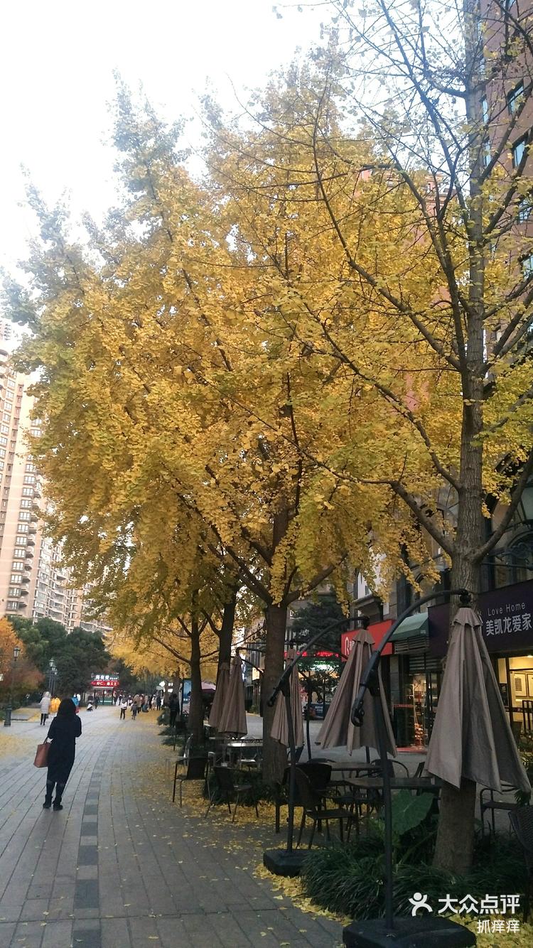 黄金城，璀璨之都-第2张图片