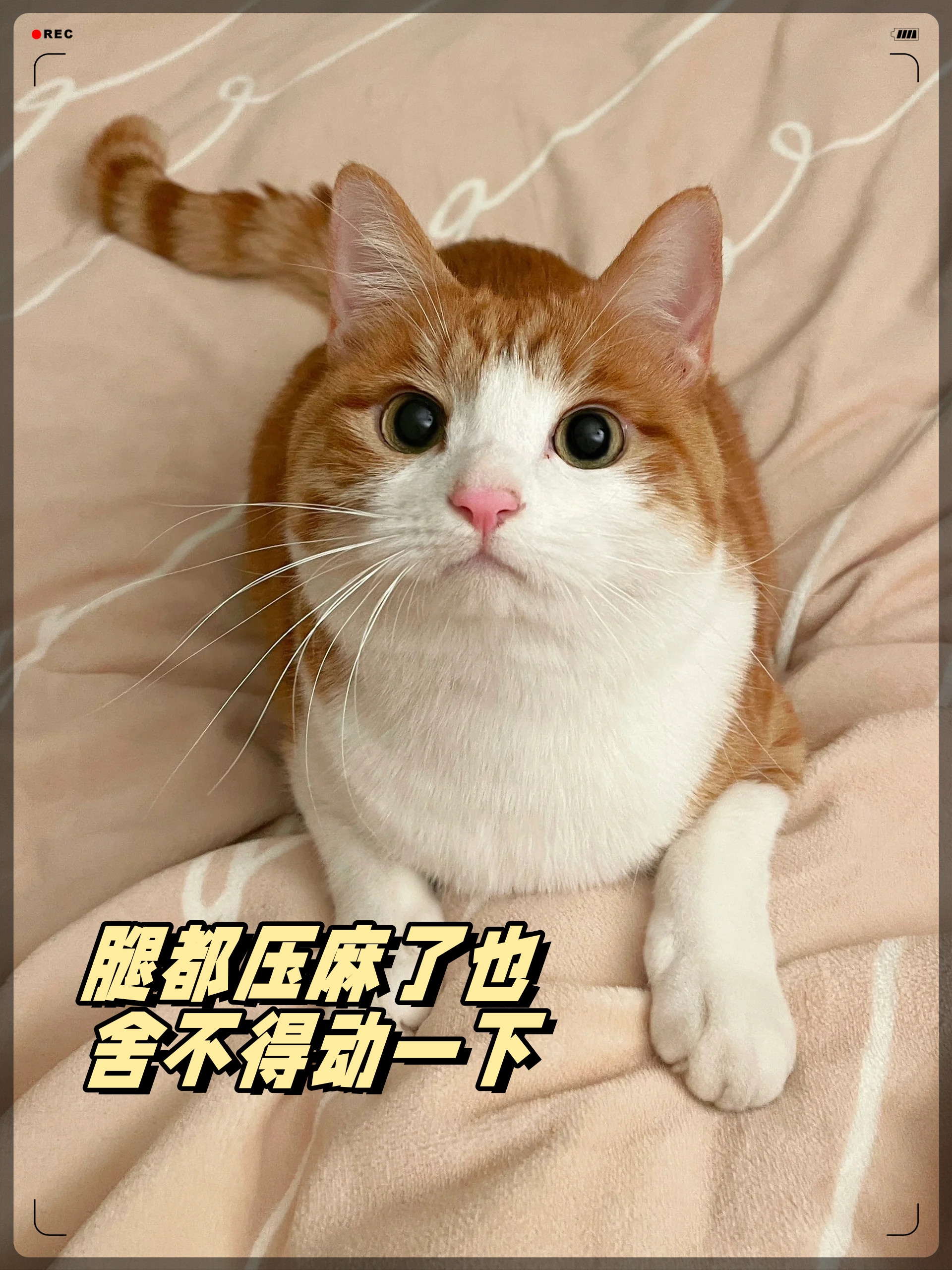 与儿子睡觉一下子项进去了与儿子睡觉瞬间陷入温馨-第1张图片
