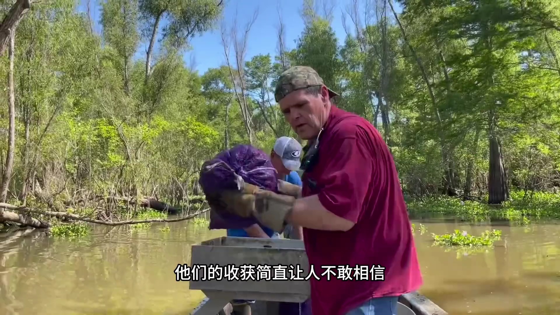 免费色婬网站泛滥成灾-第2张图片