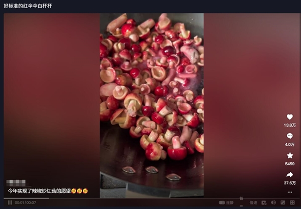 蘑菇视频免费版在线观看版蘑菇视频免费版在线观看版，探索视频新世界-第3张图片