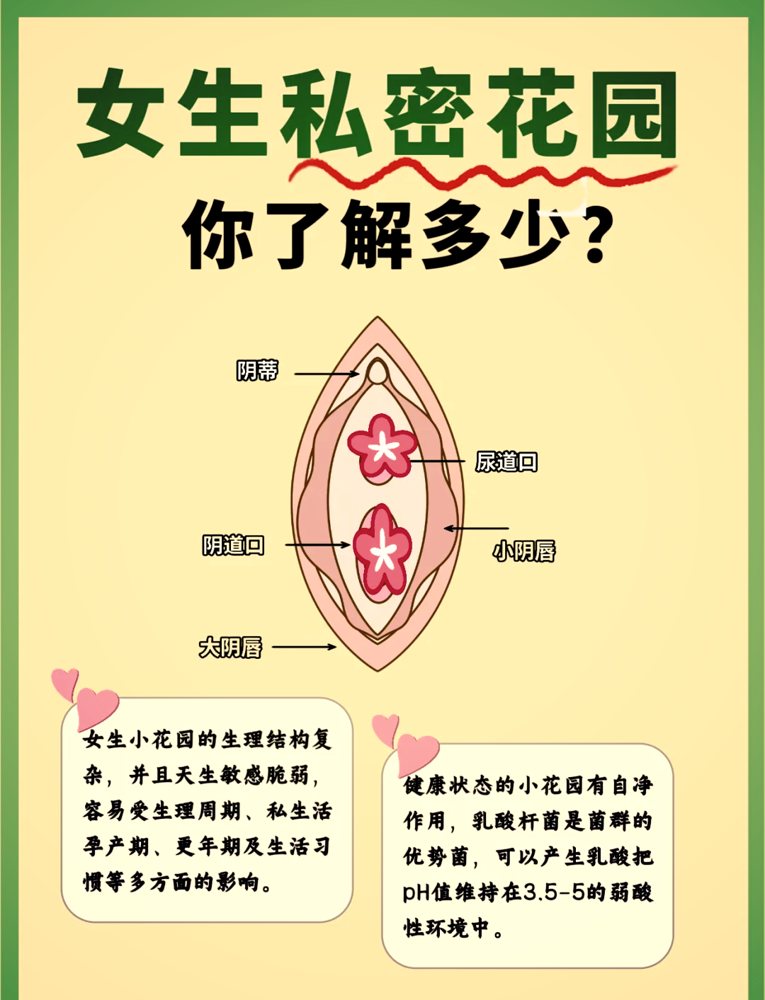 扒开女人P添大荫蒂扒开女人P添大荫蒂，揭秘背后的秘密-第3张图片