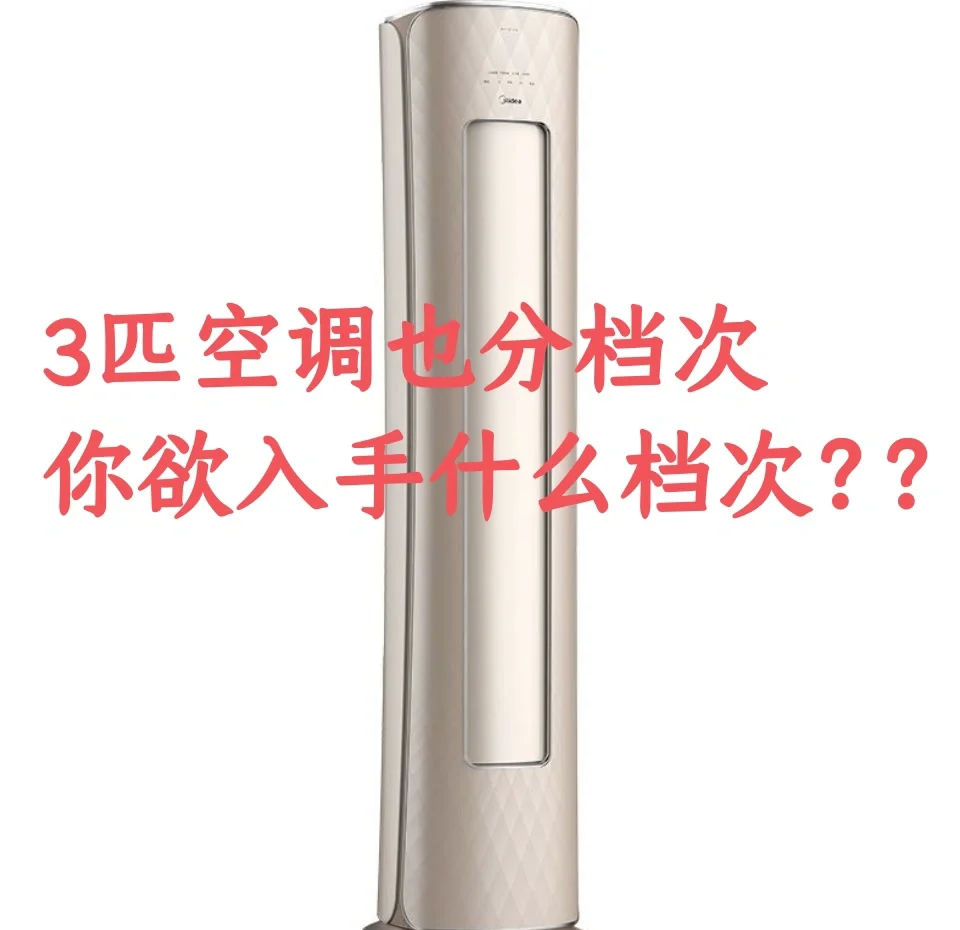 三匹狼论坛，探索网络交流的新天地-第3张图片