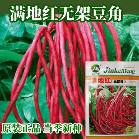 满地红满地红-第2张图片