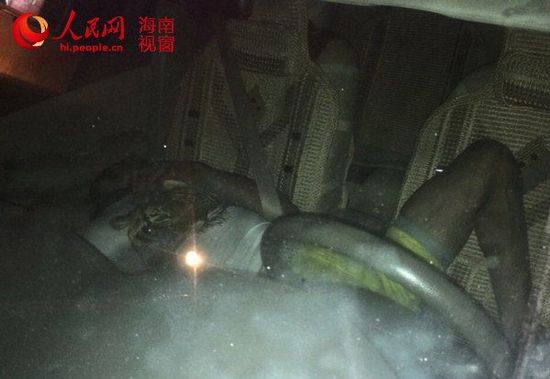 腐尸鹦鹉，神秘的生物世界-第2张图片
