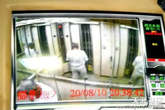 腐尸鹦鹉，神秘的生物世界