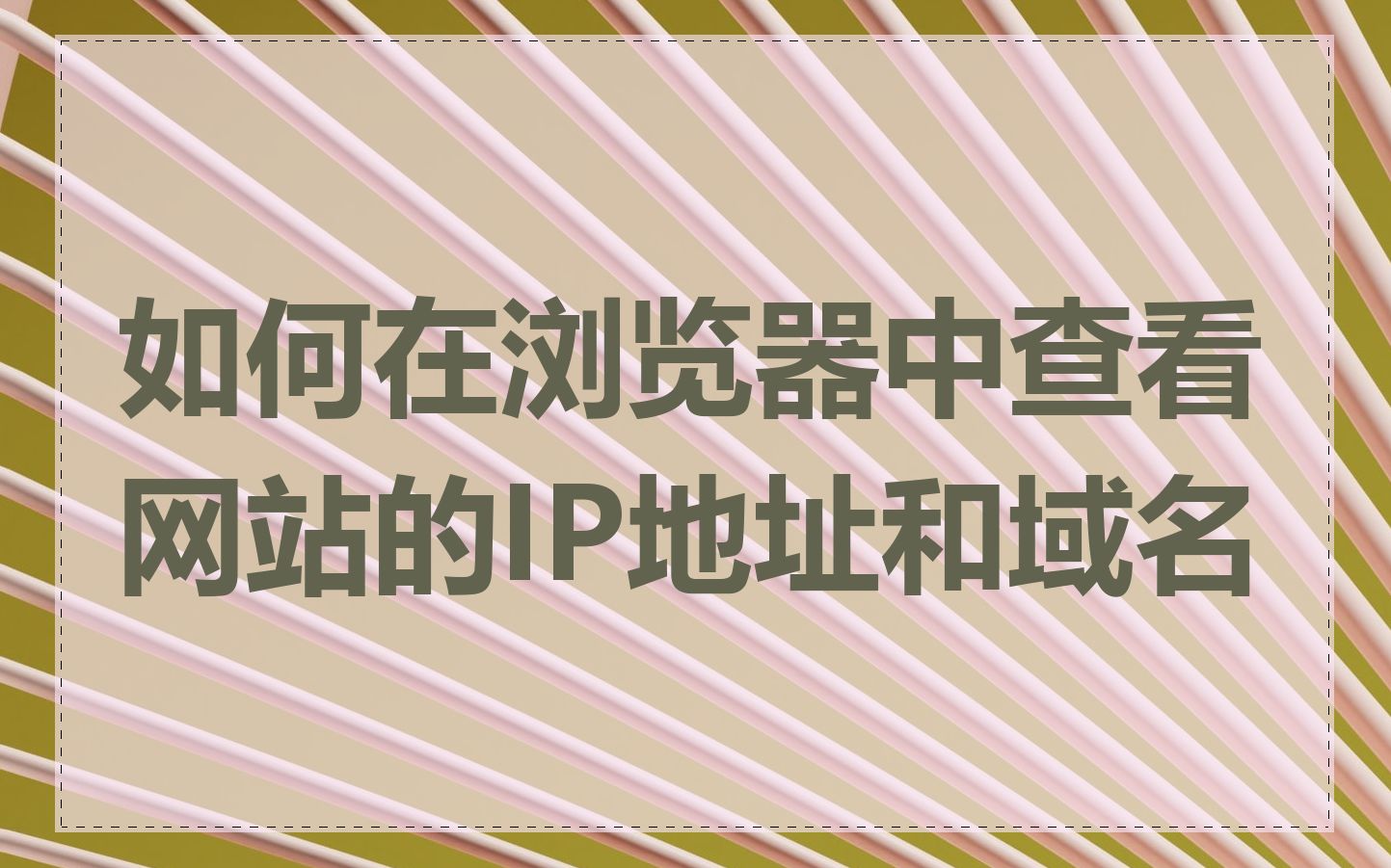 日本服务器免费ip地址浏览器日本服务器免费使用攻略-第2张图片