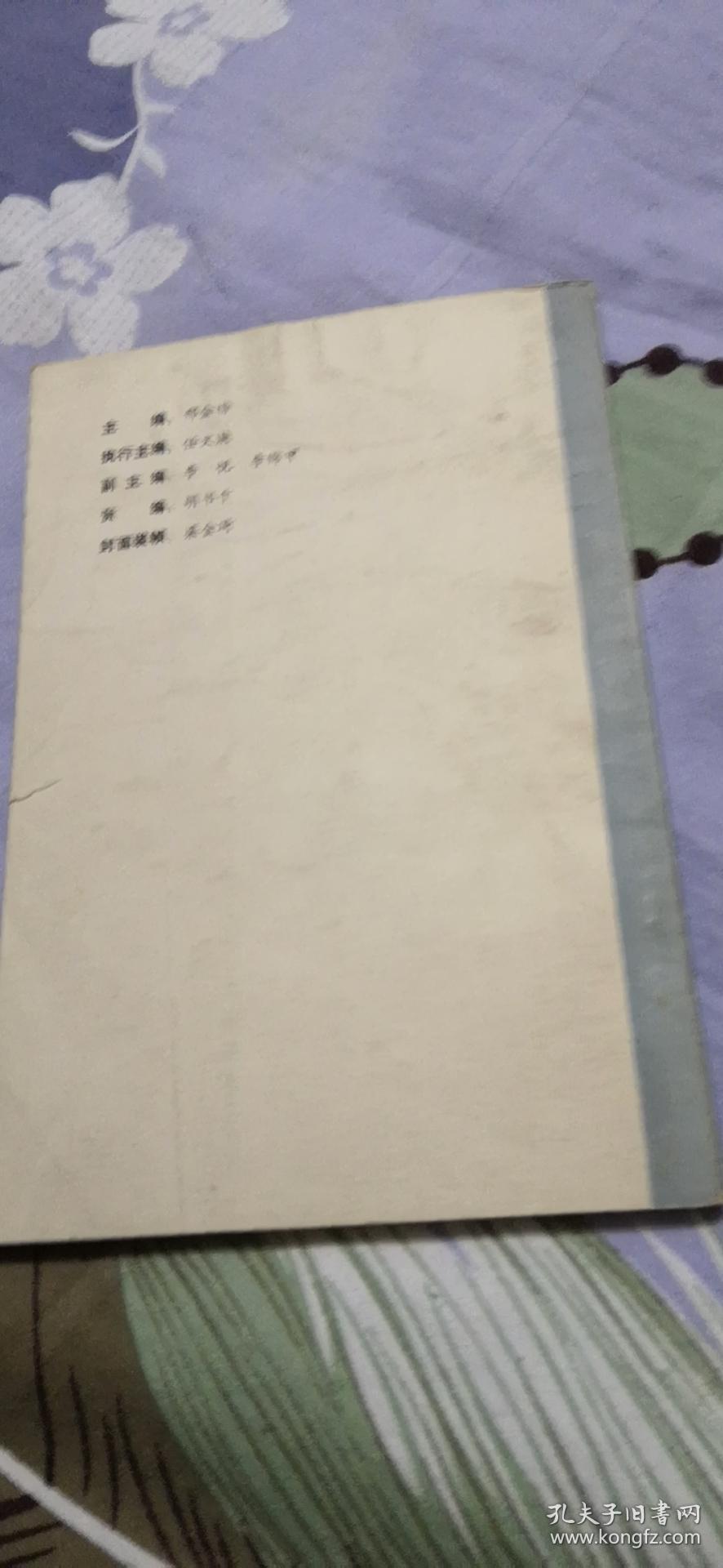 东鳞西爪的意思东鳞西爪，品味生活中的独特瞬间