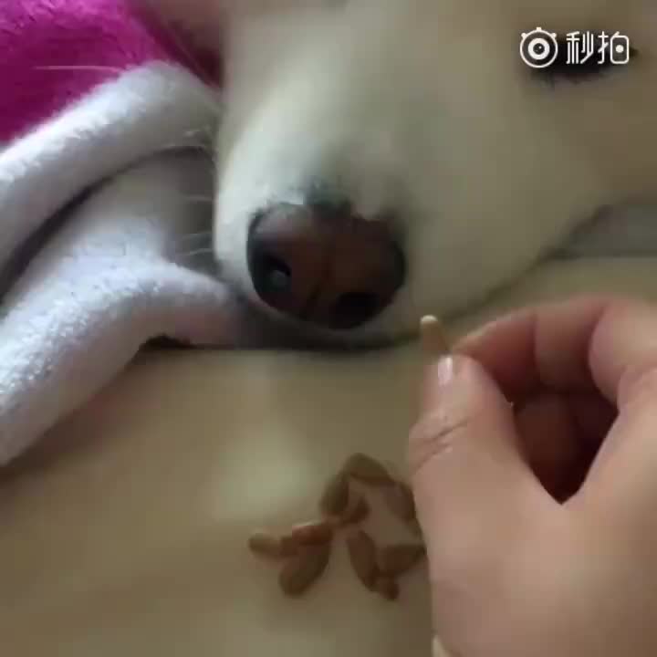 太深了吧唧吧唧吧唧吧唧视频漫画在线观看太深了吧唧吧唧吧唧视频漫画，探索多元文化与视觉盛宴-第2张图片
