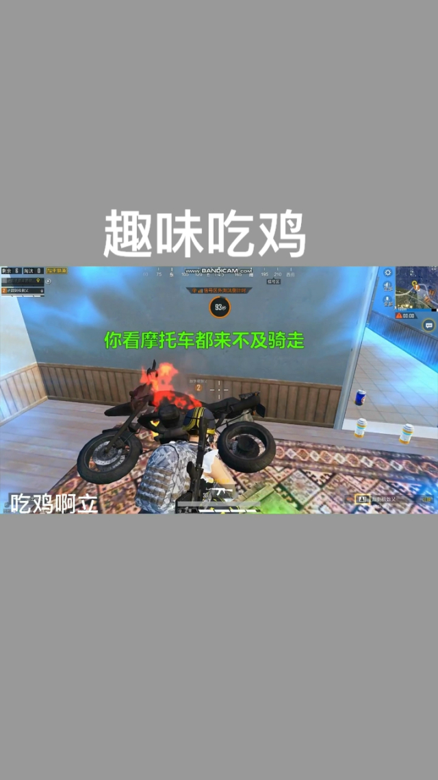 看逼逼看逼逼，生活中的趣味与挑战