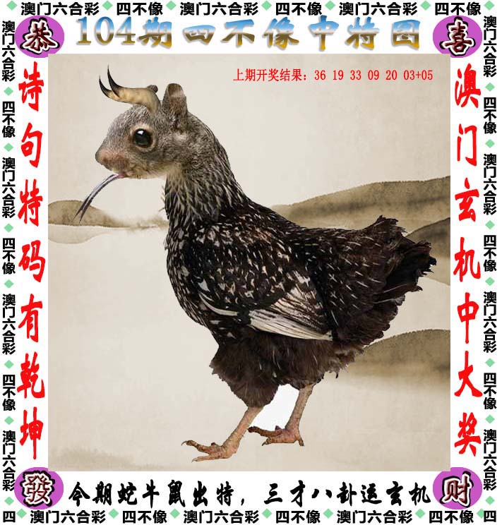 精准资料免费公开大全新澳彩资料免费长期公开，四大才子的彩票之路-第2张图片