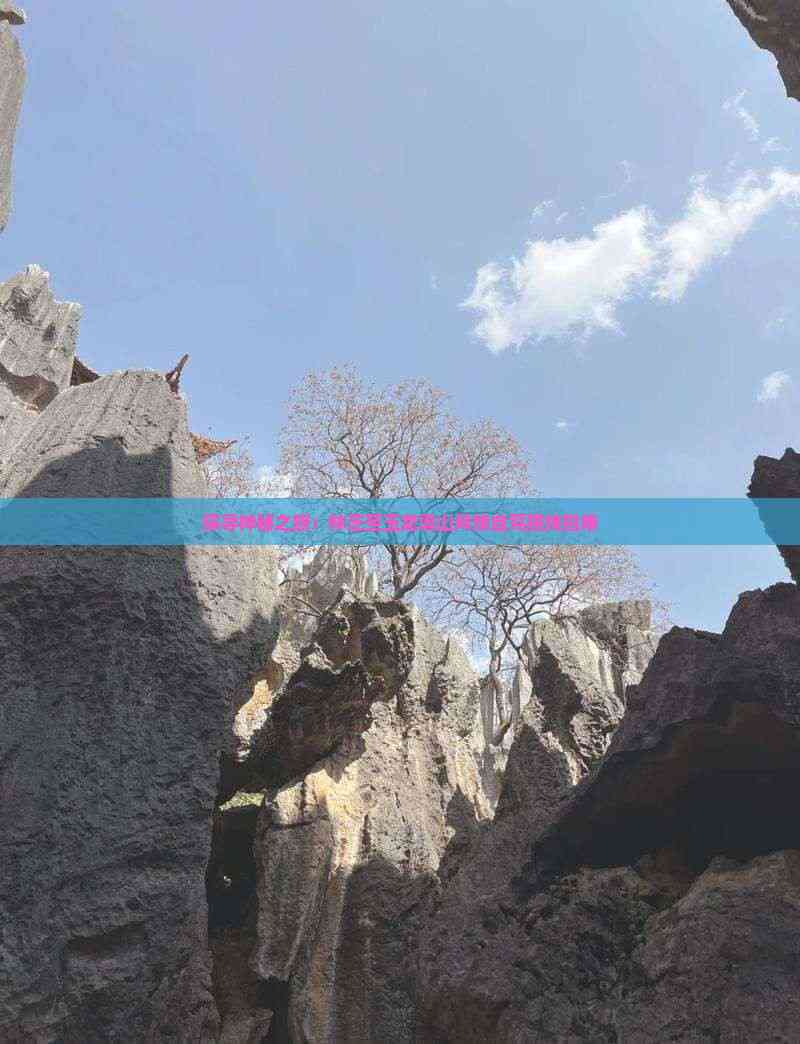 成都至云南旅游团，探索神秘之旅-第1张图片