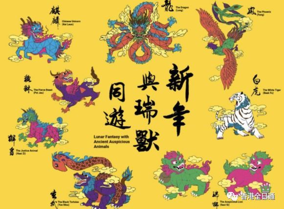 香港马会资枓大全2019香港马会资枓大全2019，全面解析与展望-第1张图片