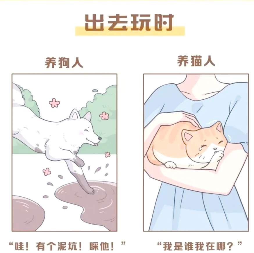 博狗haobc.vip，探索智能养狗新体验-第1张图片