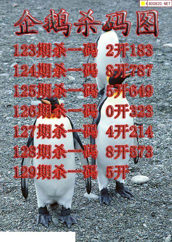 四不像与神秘数字49579、908181-第2张图片
