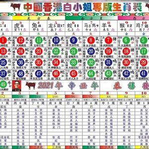 2023年香港开奖记录2023年香港开奖记录回顾-第2张图片