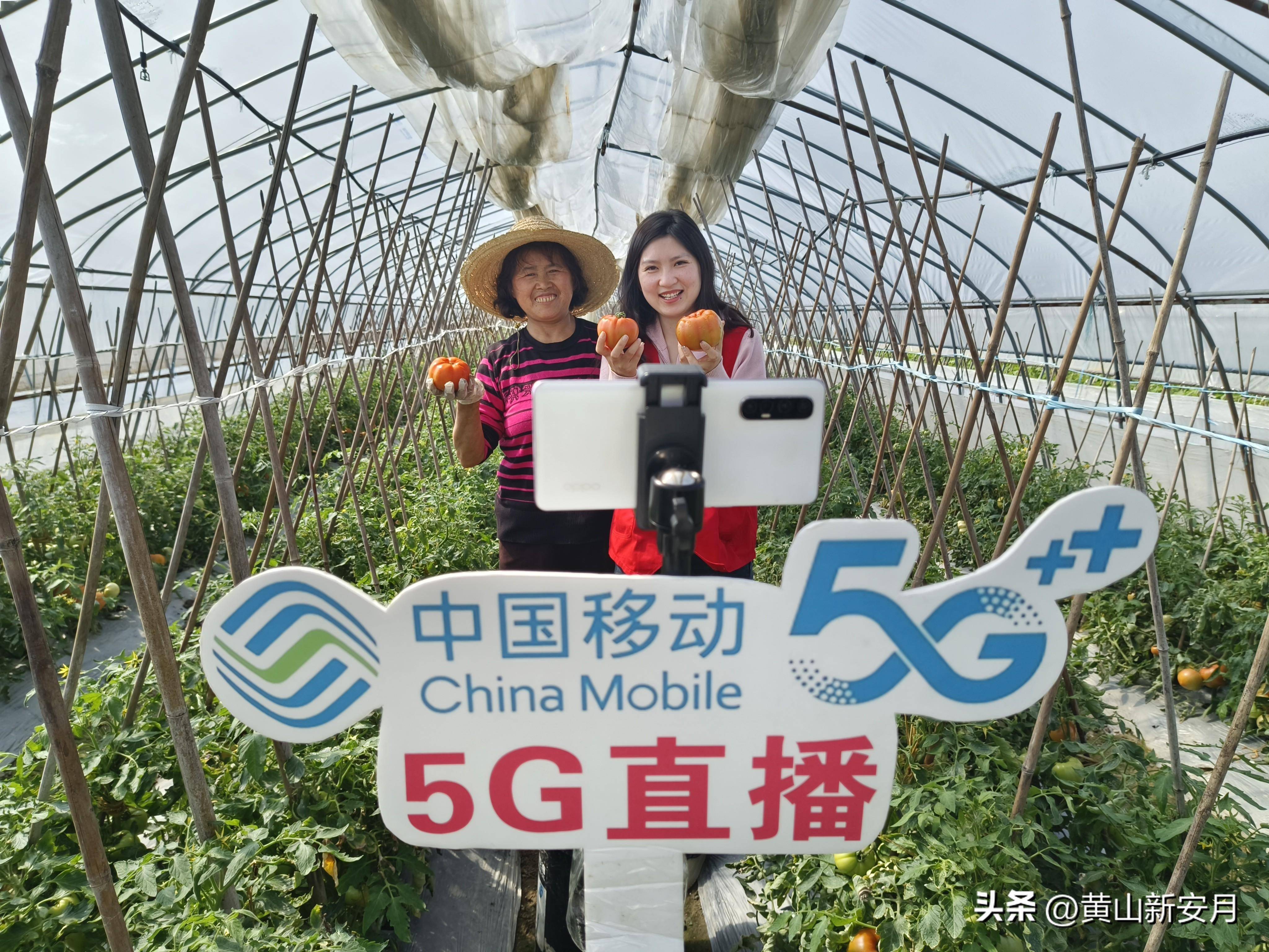 无限在线观看免费直播无限在线观看免费直播，探索数字时代的直播新体验-第1张图片