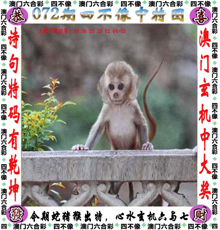 246天天好彩免费资料大全-第2张图片