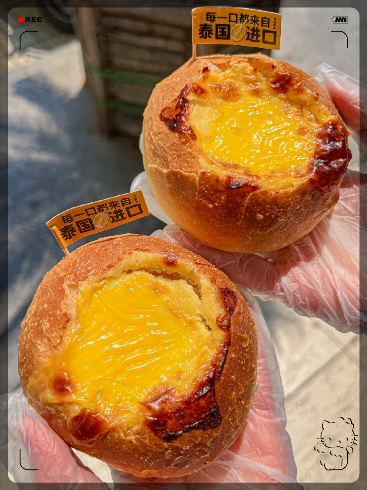 榴莲app让你流连忘返下载安装榴莲APP，流连忘返的下载体验-第1张图片