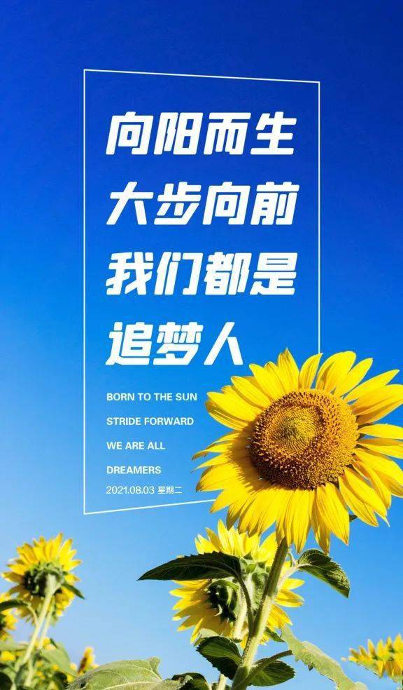 福利8，正能量入口揭秘-第1张图片