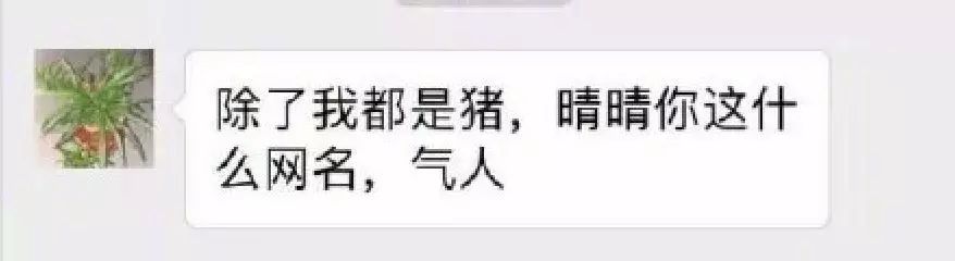 妈妈的朋友——木瓜的温馨故事