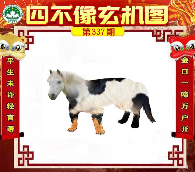 澳门图库资料大全-第1张图片