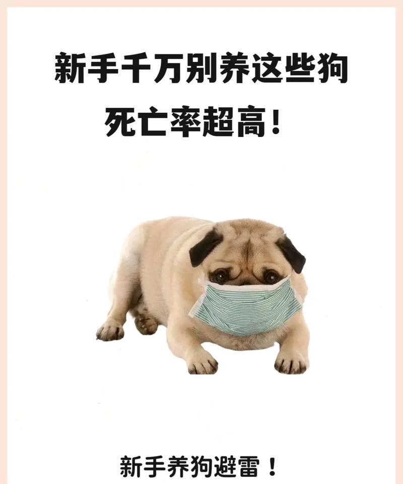 狗狗的好大坚持不住了1章狗狗的好大坚持不住了-第2张图片