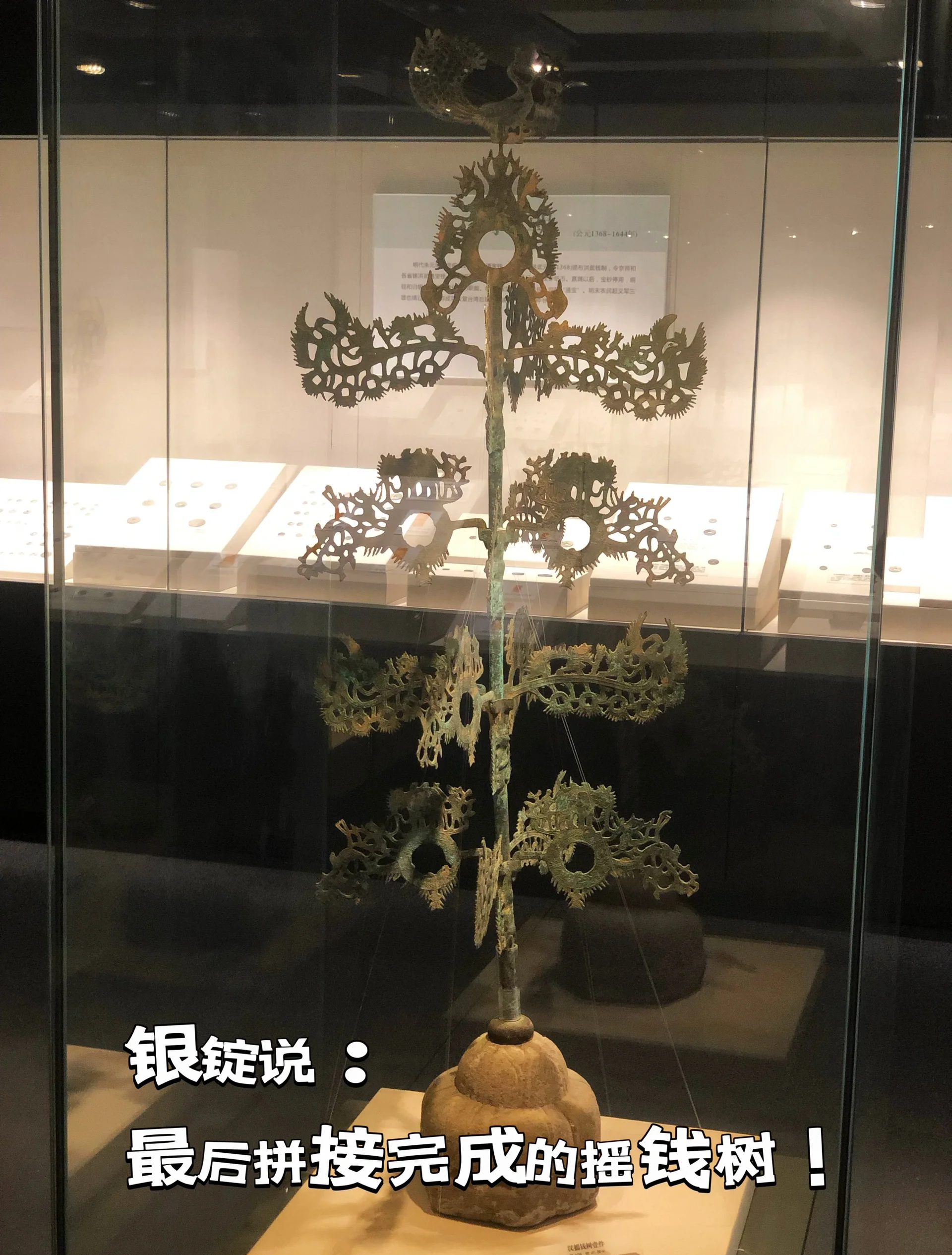 摇钱树心水忪坛334435，探索神秘之地-第2张图片