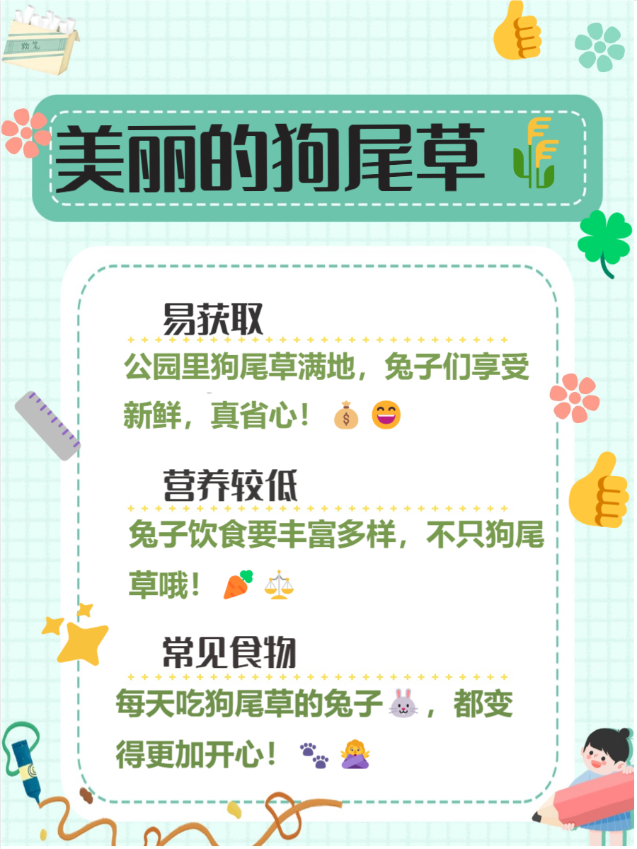 老师你的兔子好软水好多车视频老师，你的兔子好软-第1张图片