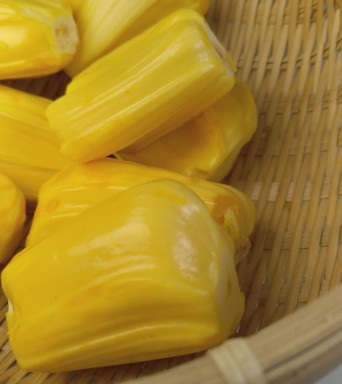 菠萝蜜视频最新在线观看免费菠萝蜜视频最新在线观看-第3张图片