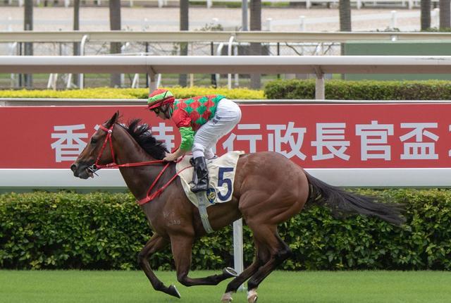 香港马 会开奖结果新闻香港马会开码结果直播与开奖结果揭晓