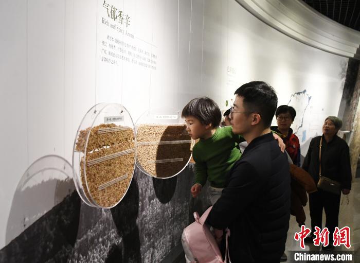 中国特级黄色大片，文化与艺术的交融-第3张图片