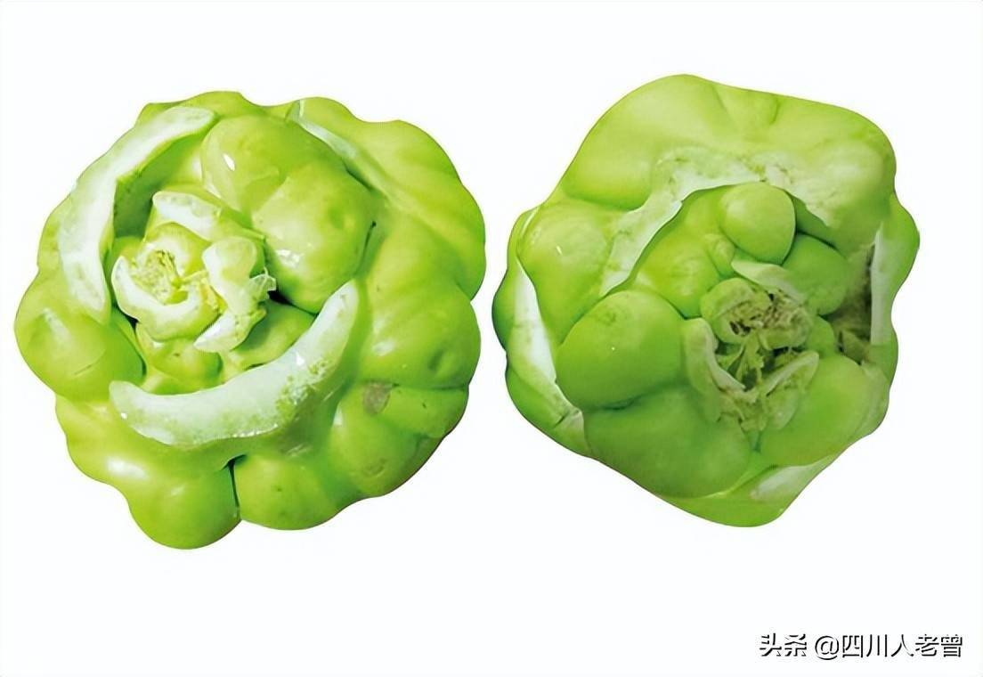 芥菜是我国重要的经济作物-第2张图片