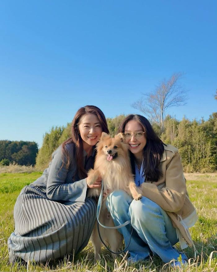 松岛花 微博松岛枫微博，微风吹过，枫叶飘舞的浪漫世界-第2张图片