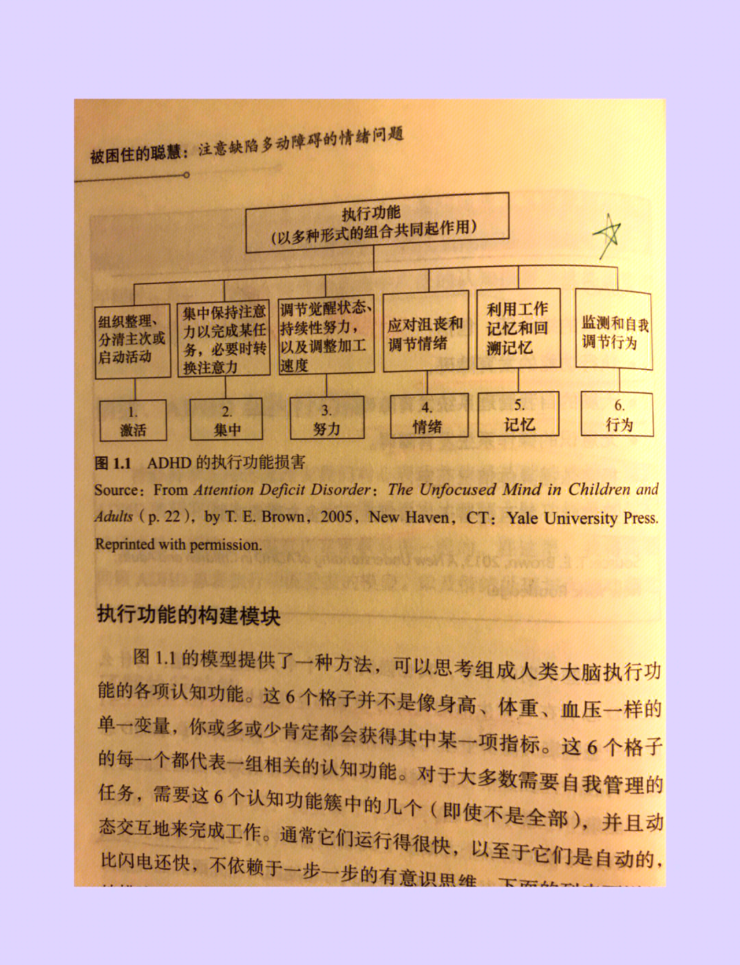 探索迈克斯纳，神秘之地的人文魅力-第3张图片