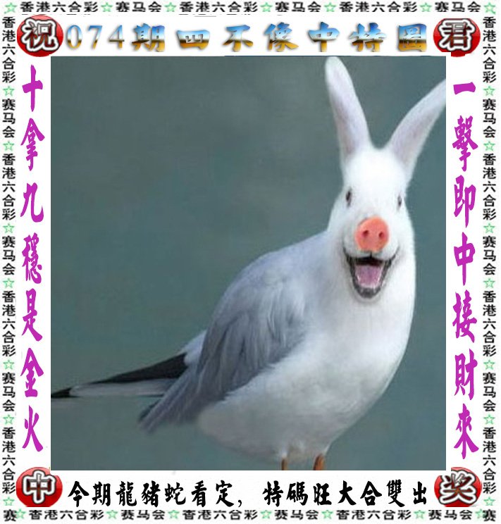 2023年澳门开奖结果记录全部2023年澳门开奖结果记录-第2张图片