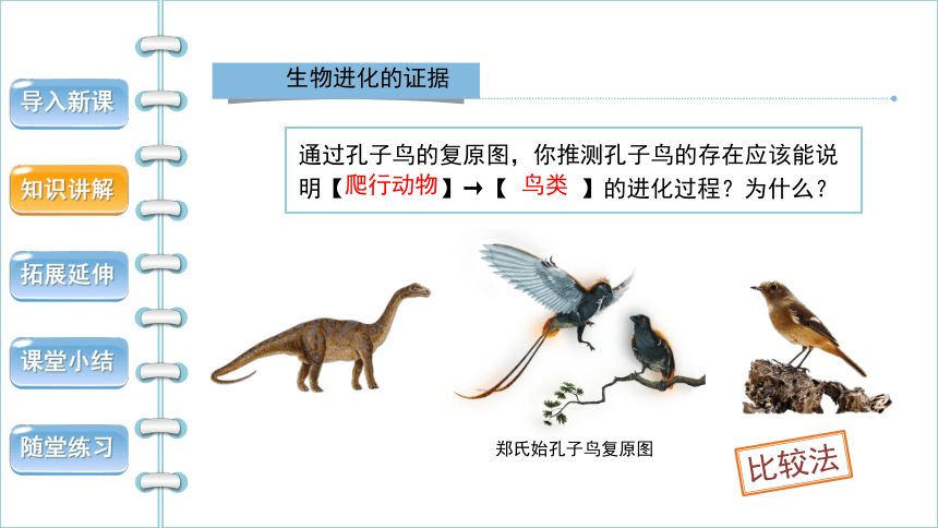 进化evolve网页进化与演进的探索-第2张图片