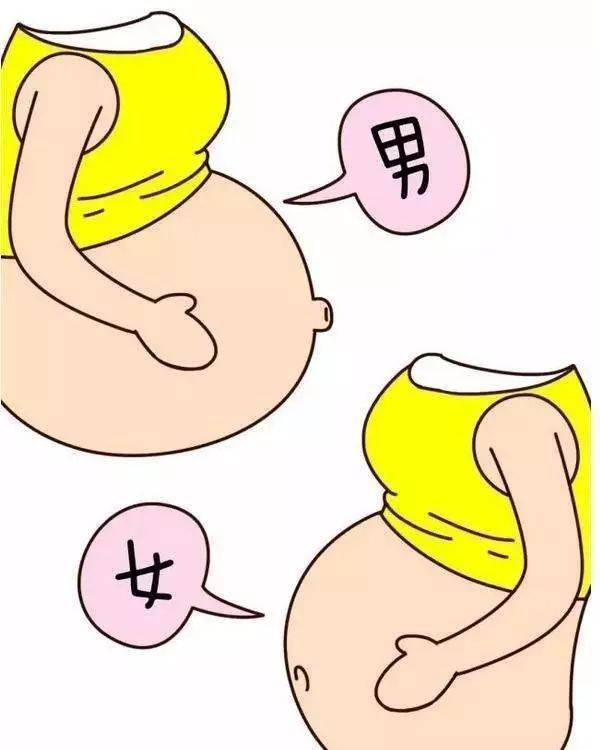 1女多男女多男的世界，多元与挑战-第1张图片