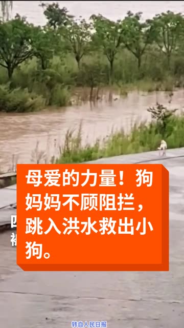 YY看黄频道，色情内容的泛滥与监管