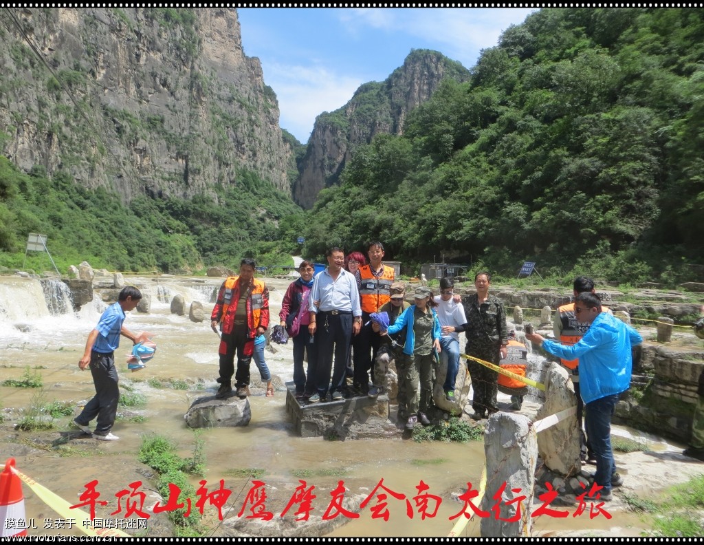神鹰论坛神鹰论坛，探索网络交流的新天地