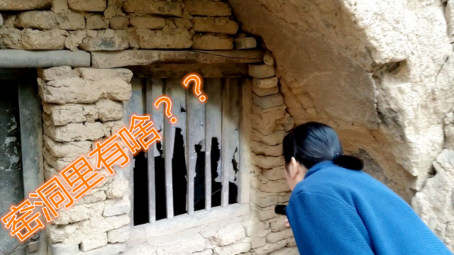 一个人免费视频播放的HD内容-第1张图片